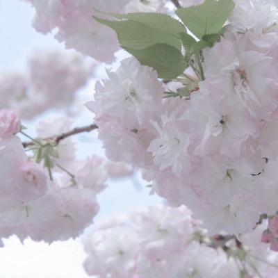 Furry色彩对比技巧福瑞交流群