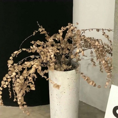 Furry插画色彩搭配兽圈社群